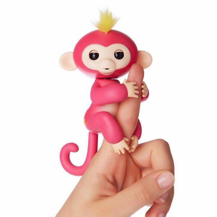 Khỉ Finger monkey