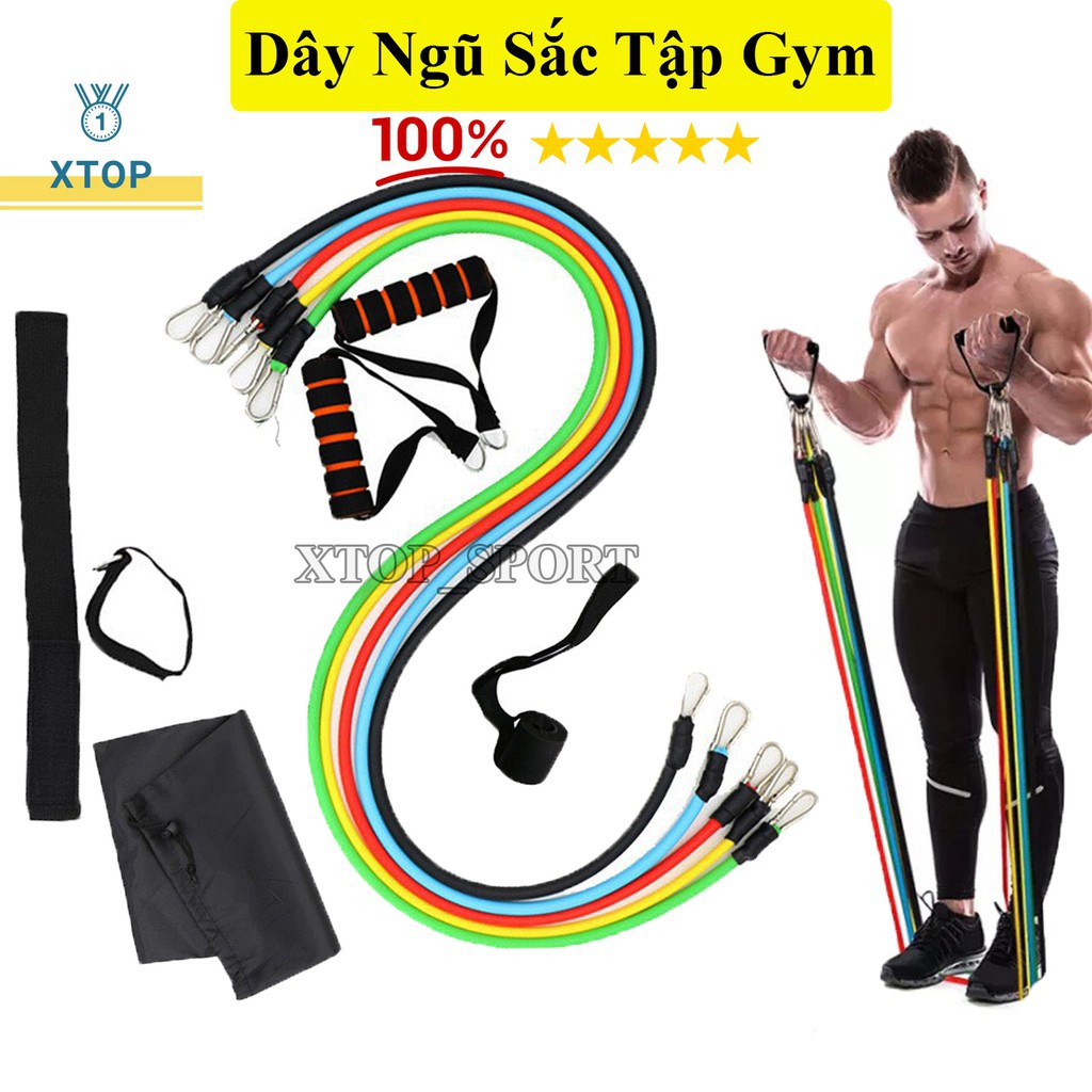 Bộ 5 Dây Ngũ Sắc Kháng Lực Đa Năng Tập Full Body Tại Nhà - Dụng Cụ Tập Gym Cao Cấp