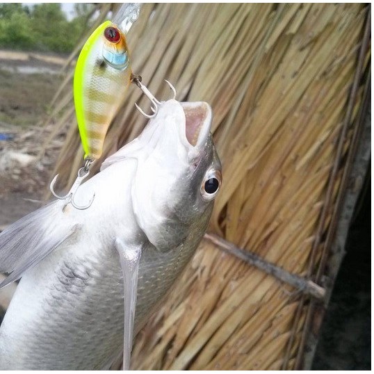 Chuppy Mồi Lure Cá Chẽm Tráp Lóc  R39 Rất Hiệu Quả