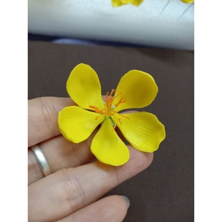 20 HOA MAI ĐẤT SÉT NHẬT ( ĐK ~4CM)