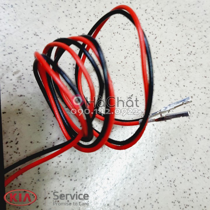 Công Tắc / Nút Bấm Mở Cốp Xe RONDO CARENS CARNIVAL SEDONA 🚘 chính hãng KIA MOTORS 🎯 81260A4000