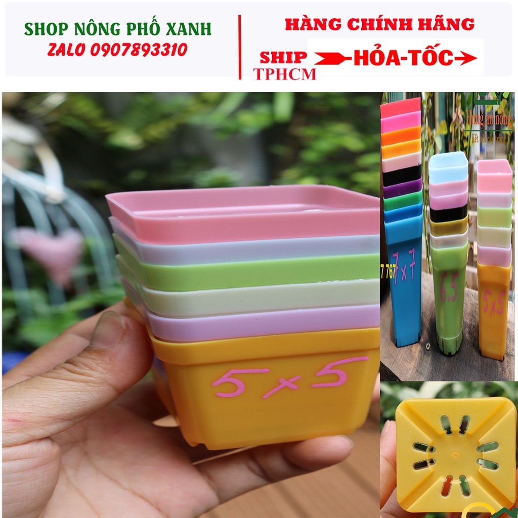 10 chậu nhựa 5X5cm PP vuông mini trồng sen đá bonsai xương rồng có 7 màu
