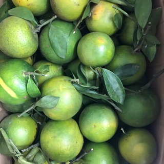 Combo cam mật + chuối sáp