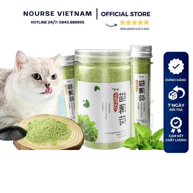 Cỏ catnip, cỏ bạc hà cho mèo