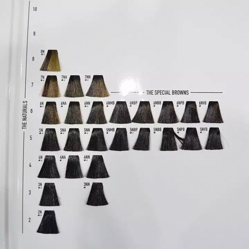 Màu nhuộm Goldwell Topchic 250gam