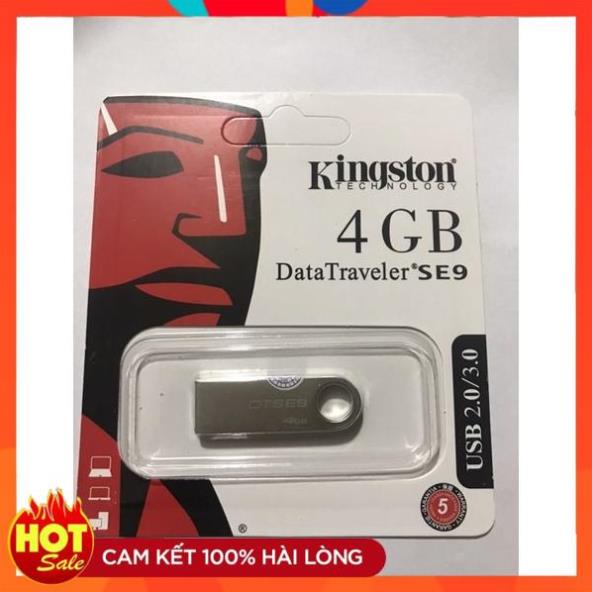 Usb 4 GB Kington Data SE9