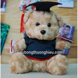 Gấu tốt nghiệp 30cm lông xù màu nâu  giá rẻ kho TPHCM
