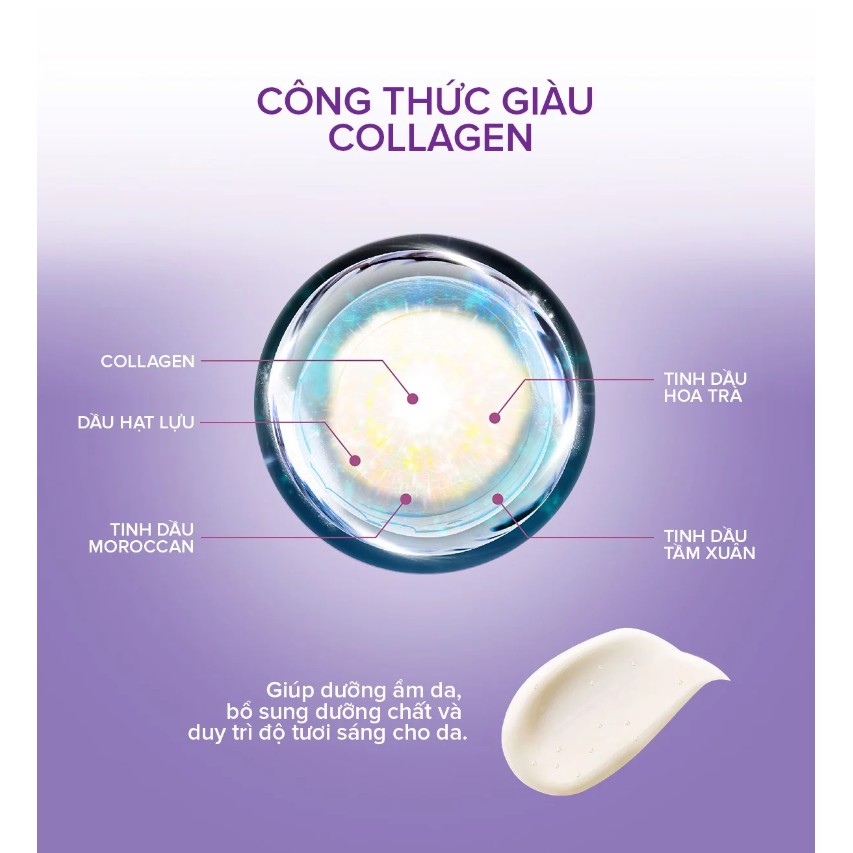 Mặt Nạ Ngủ Dưỡng Da Tinh Chất Tổ Yến Bio-essence Bio-Bird's Nest Collagen Night Mask 50g