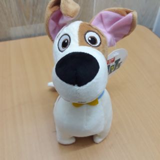 Chú chó Max