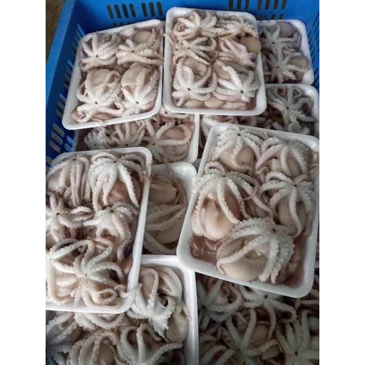 500Gr Tuộc Sữa đóng khay hút chân không dùng nướng và lẩu - 4Muafood - Thực Phẩm 4 Mùa
