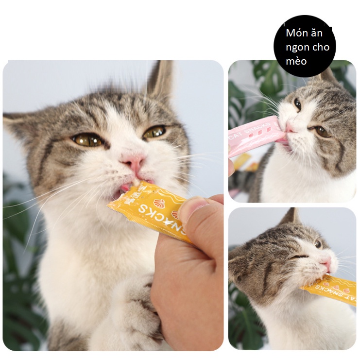 [HCM] Que thưởng cung cấp dinh dưỡng cho mèo Cat snacks 15gr/thanh