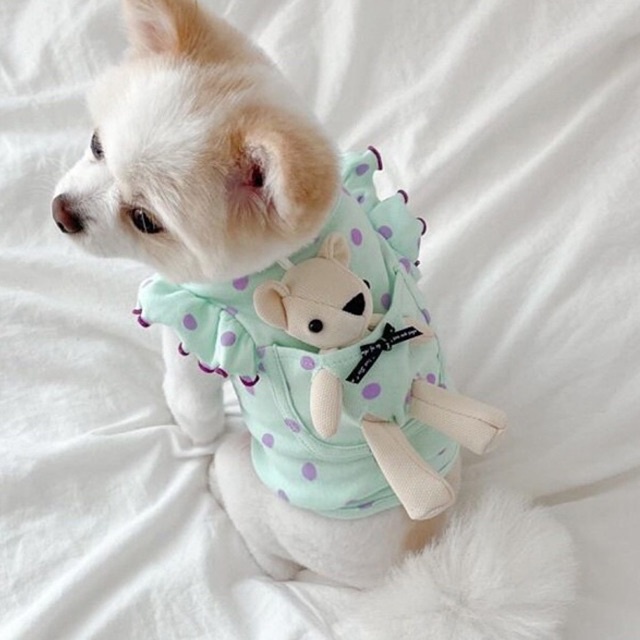Áo thiết kế cho thú cưng - áo tay bèo nhã nhặn nữ tính siêu điệu dành cho các quý cô chó mèo