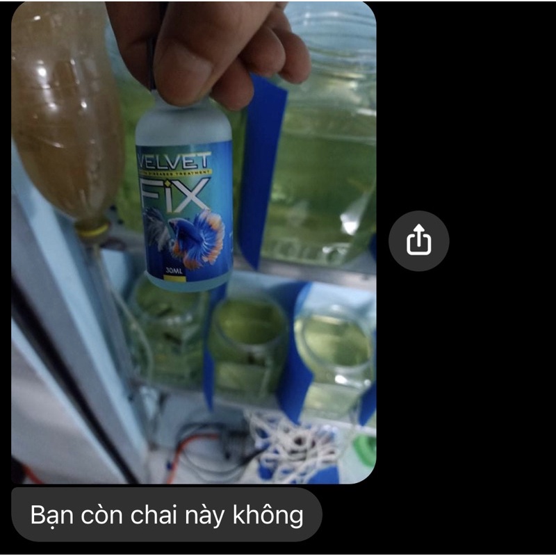 VelvetFix - Fix và phòng Nấm cho betta, guppy