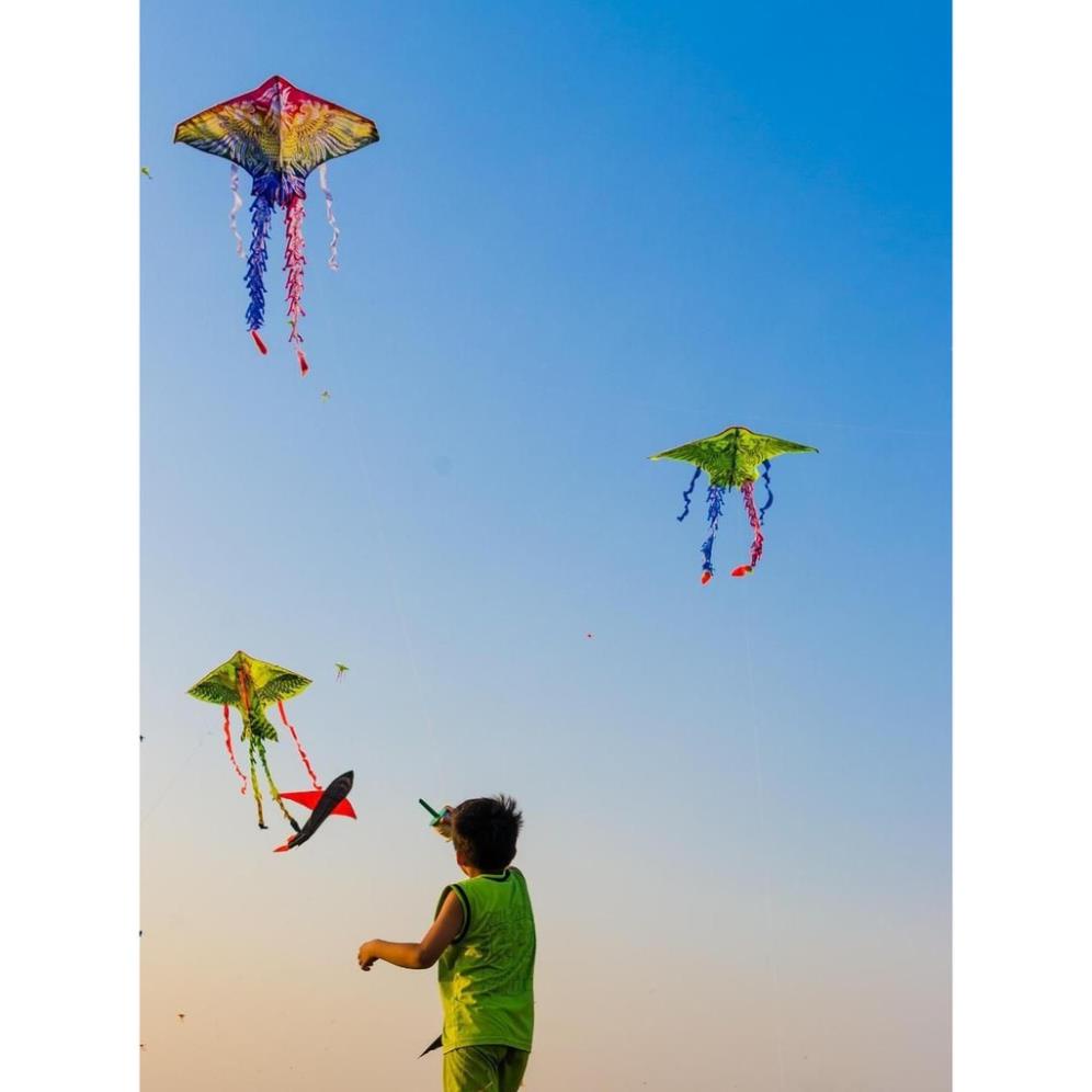 [ICLN9 giảm 5K cho đơn hàng 50k]  Diều Phượng Hoàng lửa, Diều Phụng Hoàng 5 đuôi cánh to tặng kèm dây