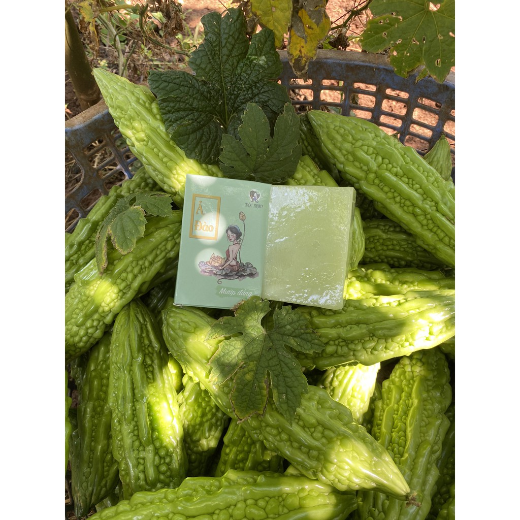 Xà bông Nghệ Ả đào, Xà bông Mướp đắng, Xà phòng thiên nhiên sáng da, mờ thâm, giảm mụn, viêm nang lông MỘC NHAN 100gr | BigBuy360 - bigbuy360.vn