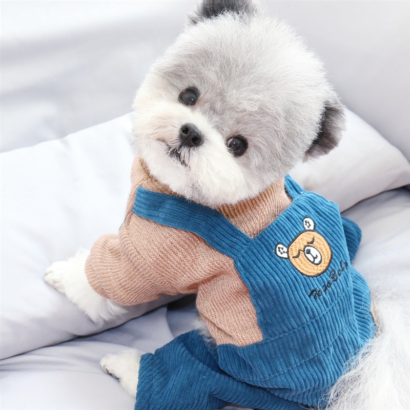 Pet quần áo chó rơi và áo khoác mùa đông quần áo dày Schnauzer Teddy Bichon Pomeranian chân con chó quần áo tuyết nhỏ