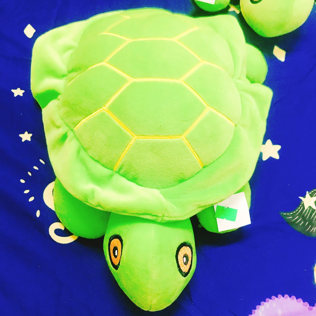 Thú nhồi bông con Rùa cao cấp xịn mịn cho bé