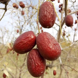 Táo đỏ tân cương 500gr ( táo nhỏ )