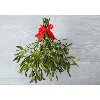 MISTLETOE