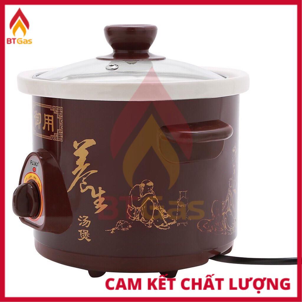 Nồi kho cá điện FUJIKA, nồi nấu cháo chậm đa năng dung tích 1.5L - 2.5L