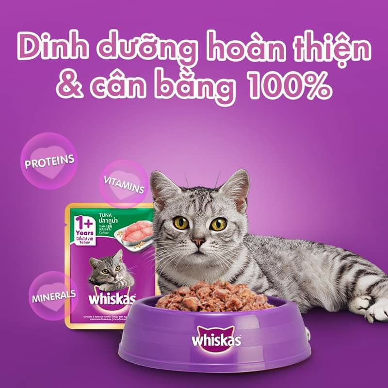 Pate Cho Mèo Lớn, Pate cho mèo con,  Whiskas1+ Whiskas junior  túi 80g vị Cá Ngừ, Cá Thu, Cá Biển.