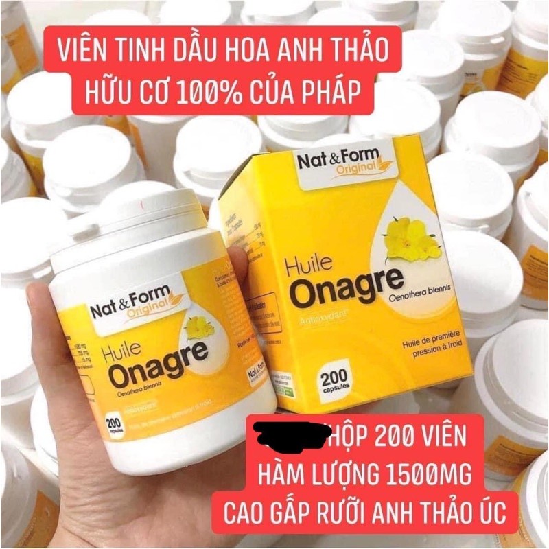 Hoa Anh Thảo Pháp 275