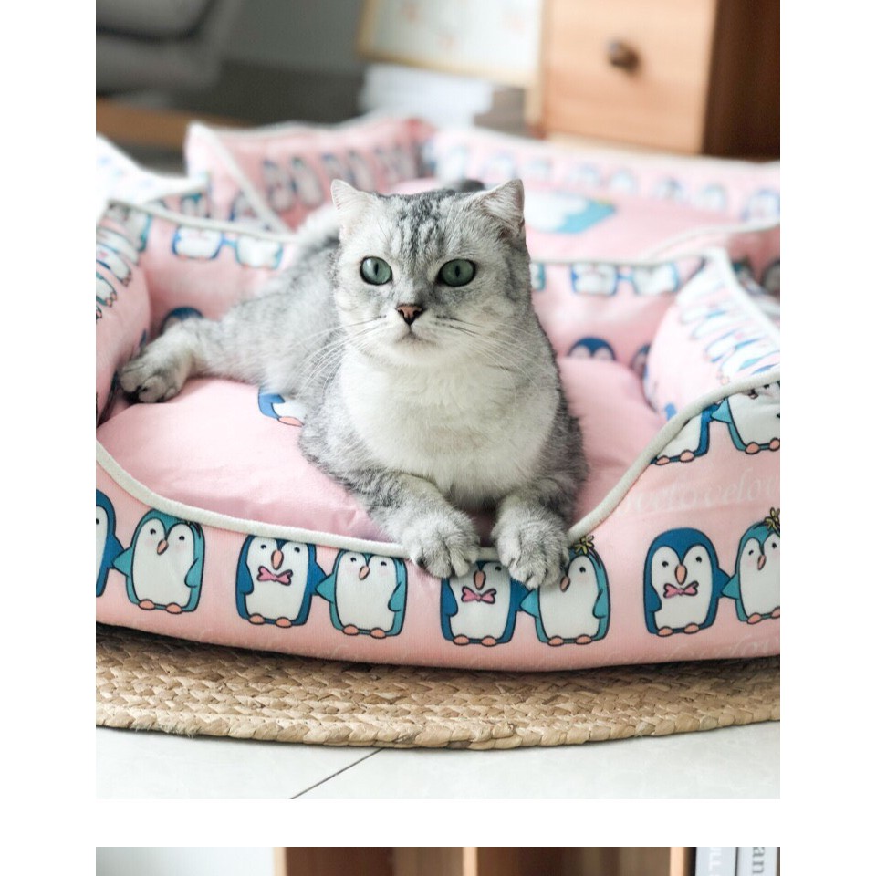 Ổ Đệm Chữ Nhật Hoạ Tiết Cho Chó Mèo
