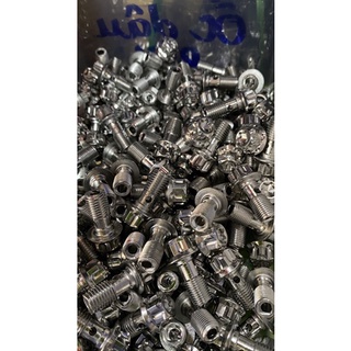 Ốc bắt dây dầu Salaya inox 304