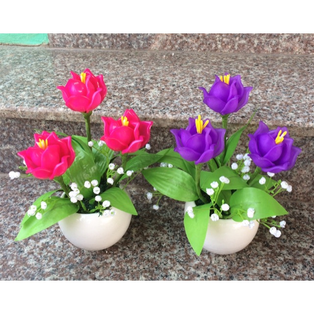 TP30 Combo 2 chậu hoa tulip trang trí nhà