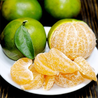 Giống quýt đường - siêu ngọt