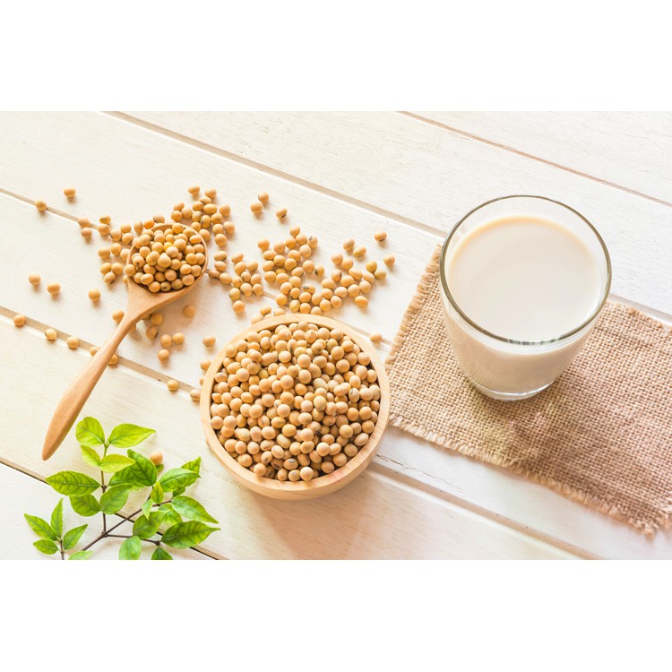 Đậu Nành Quê Sạch SallyFood 500g Đỗ Tương Sống Hữu Cơ Nông Sản Quê Sally Food