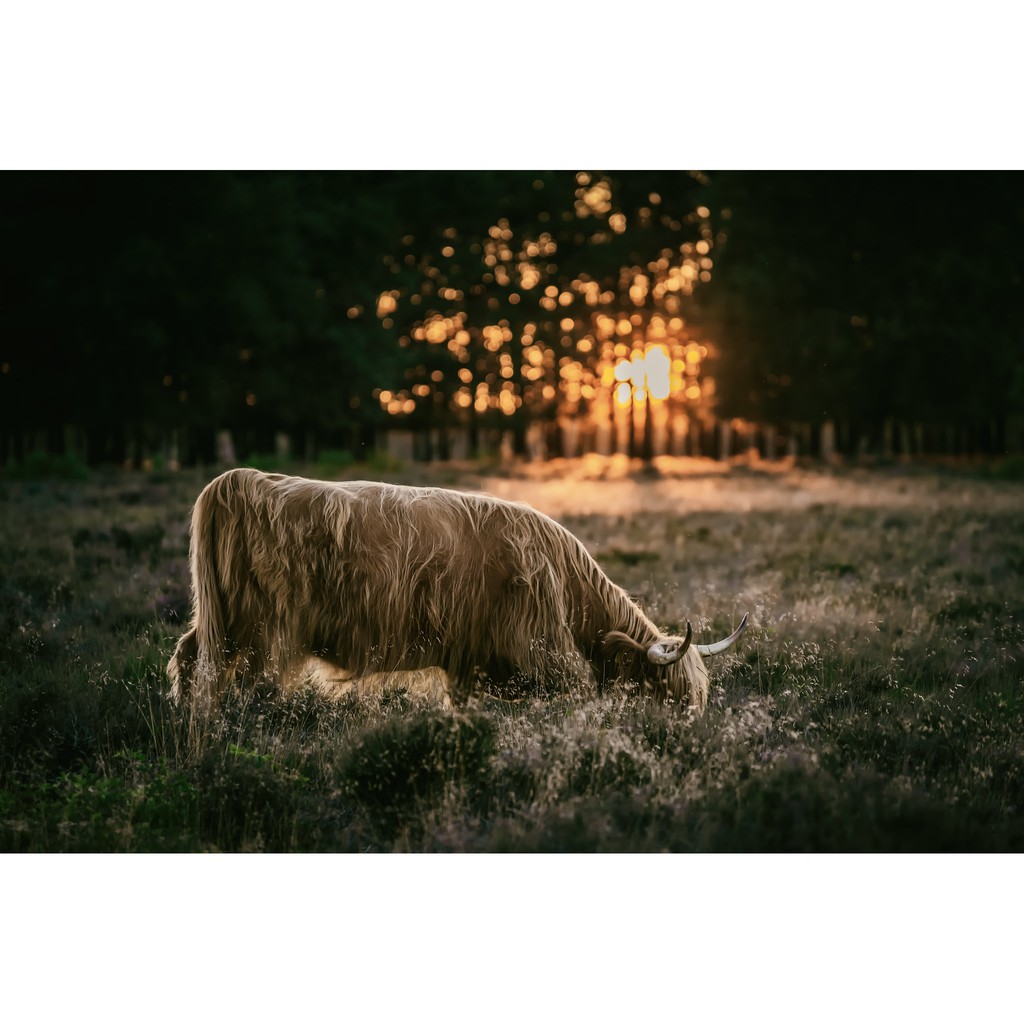 Ống kính máy ảnh Tamron 70-210mm f4.0-5.6 AF Nikon  - 17906