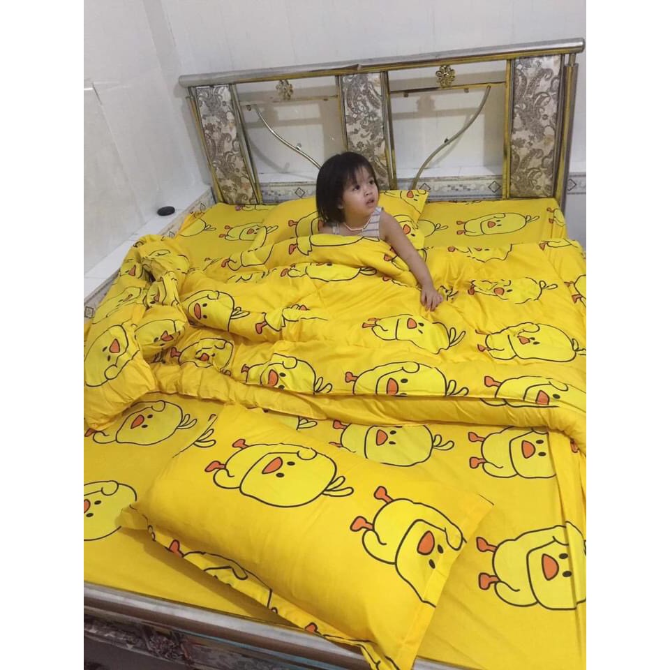Bộ 5 món vỏ chăn và ga kèm 3 vỏ gối  poly cotton lồng được ruột - Bọc ngoài mền