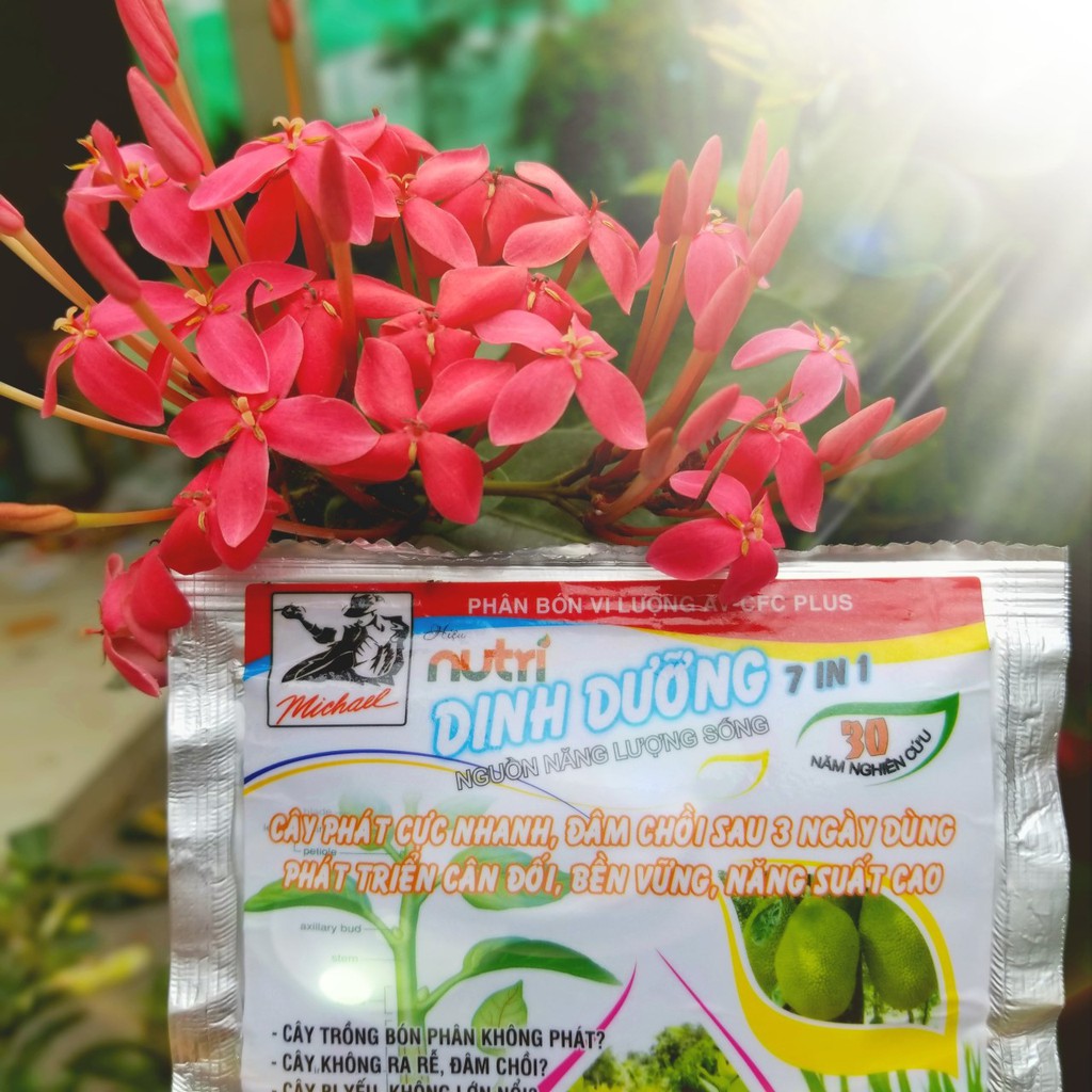 [SHOP Ở KV GIAO HÀNG ĐƯỢC]Phân bón lá cho hoa , cây cảnh_Nutri Dinh Dưỡng 7in1 ra rễ mập chồi_Chính hãng CTY SAM GROUP