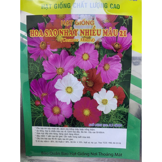 Hạt giống hoa sao nhái nhiều màu 21 giá rẻ