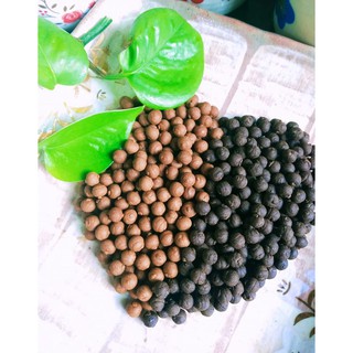 Natto coden đen - Đậu nành đen lên men