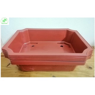 5 Chậu Nhựa Trồng Cây Hình Chữ Nhật Màu Nâu Siêu Đẹp Kích Thước 450x320x110 - Sản Xuất Bởi NHỰA BÌNH THUẬN