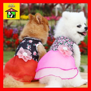 🌸 Áo Đầm Hanbok/ Váy Áo Cưới Xuân Hè Cho Chó Mèo Thú Cưng Siêu Cưng Hanbok