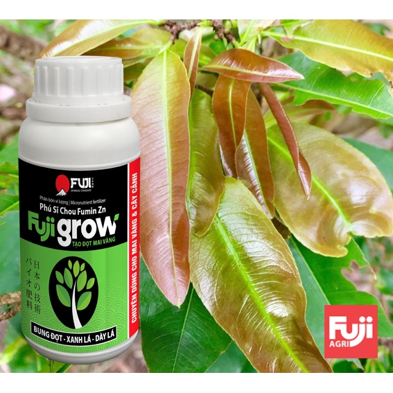 Phân bón mai vàng bung đọt FUJI GROW Japan 250ml