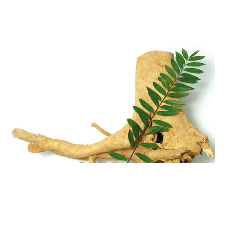 Rễ mật nhân thượng hạng JINDO 1kg tốt cho si.nh l.ý nam