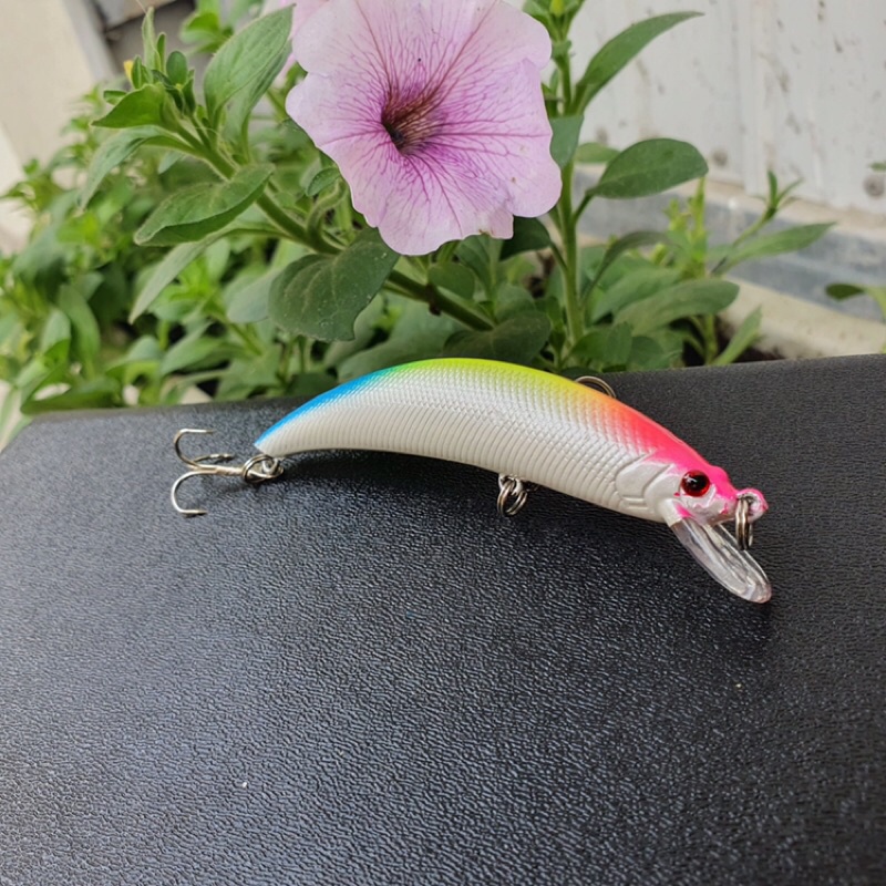 cá thân cong 9g dài 9.5cm