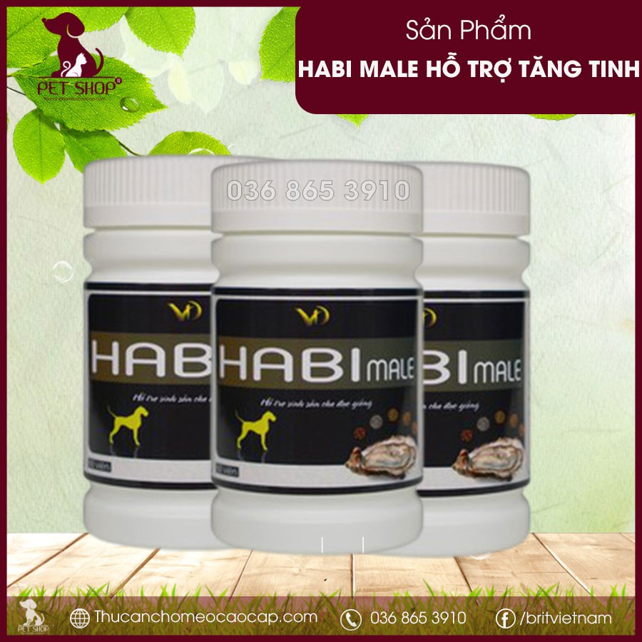 Habi Male Hỗ Trợ Tăng Tinh Cho Chó Đực
