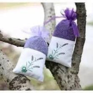 Nụ hoa lavender khô