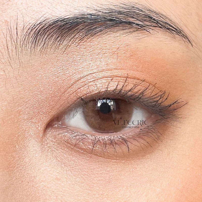 Lens nâu 316 brown 0 độ nhập khẩu Hàn Quốc - VF Lens