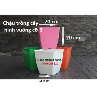 Chậu trồng cây hình vuông cỡ 3