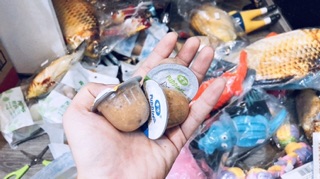 Viên pudding dinh dưỡng cho chó mèo