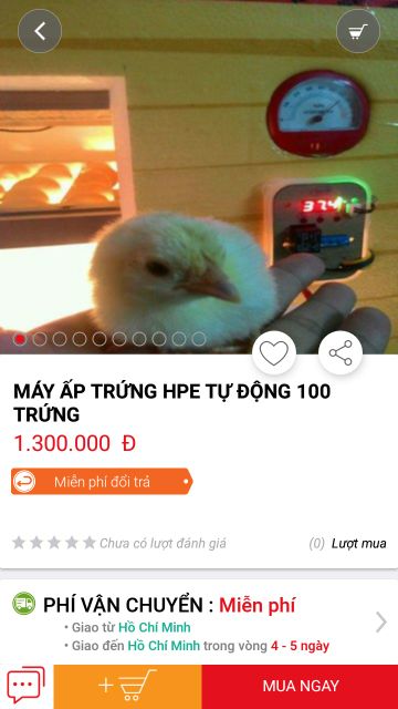 Đèn cấp nhiệt máy ấp trứng hpe