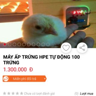 Đèn cấp nhiệt máy ấp trứng hpe