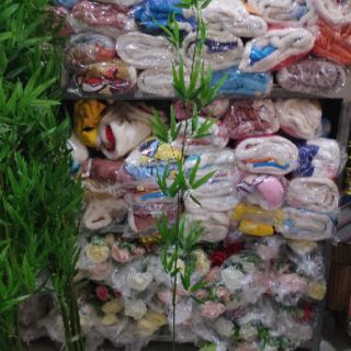 Cây trúc giả