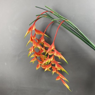 Hoa CHUỐI PHÁO đỏ [HOA CAO CẤP LACHANCE] - HC0009